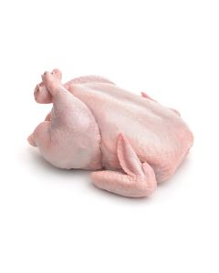 Fresh Chicken Roaster (1.2kg-1.5kg) Sold Per kg