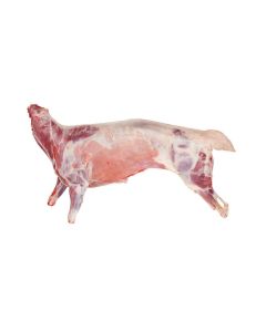 product - 07LMBC
