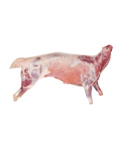 product - 07SHPC
