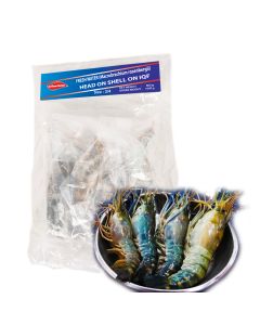 product - 11HO24