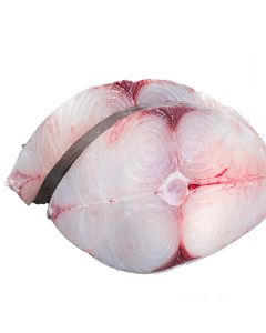 BG KING FISH STEAK 1