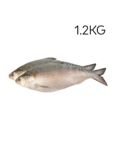 product - 15HBR12