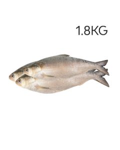 product - 15HBRSP1-8
