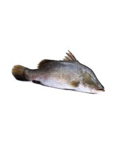 product - 15KORB5