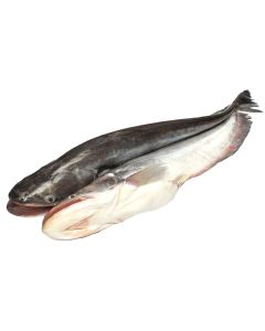 Bangla Gold Boal IQF 5kg+