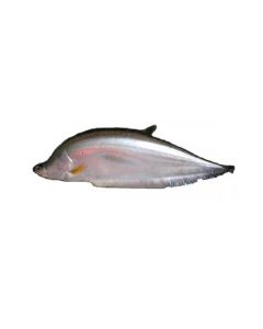 Bangla Gold Chital IQF 4kg+