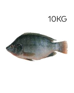 product - 15TPC10