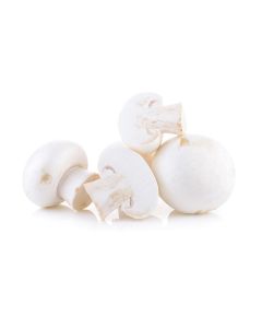 product - 19BMB