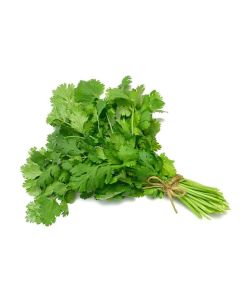 Fresh Coriander Bunch