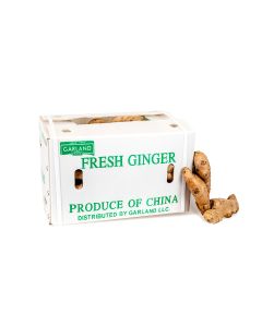 product - 21GI