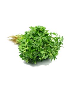 product - 21MTH