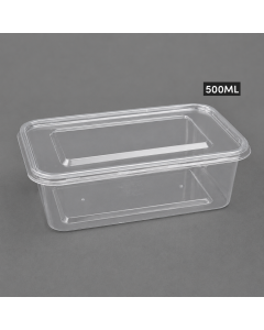 520 PLASTIC CONTAINER C500 252PC        