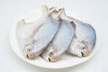 Bangladesh Burma & India IQF Whole Fish