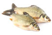 Bangladeshi Fresh Water Fish & Shrimps