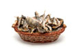 Dry Fish