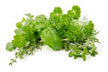 Fresh Herbs