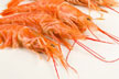 Fresh Water King Prawns Block Frozen