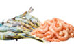 IQF & Semi-IQF King Prawns & Shrimp